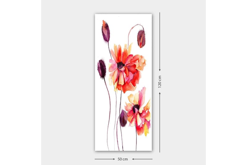 Canvasbilde DKY Floral & Botanical Flerfarget - 50x120 cm - Interiør - Maleri & posters - Lerretsbilder