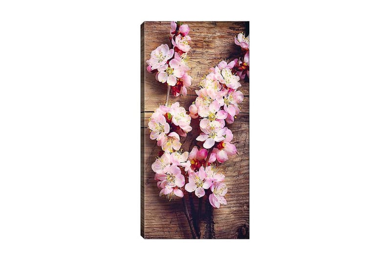Canvasbilde DKY Floral & Botanical Flerfarget - 50x120 cm - Interiør - Maleri & posters - Lerretsbilder