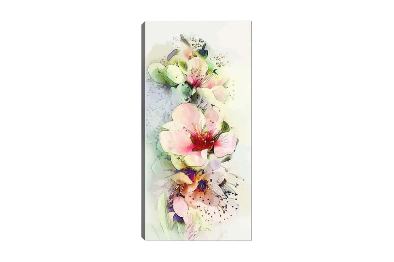 Canvasbilde DKY Floral & Botanical Flerfarget - 50x120 cm - Interiør - Maleri & posters - Lerretsbilder