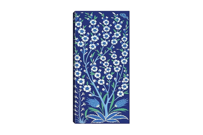 Canvasbilde DKY Floral & Botanical Flerfarget - 50x120 cm - Interiør - Maleri & posters - Lerretsbilder