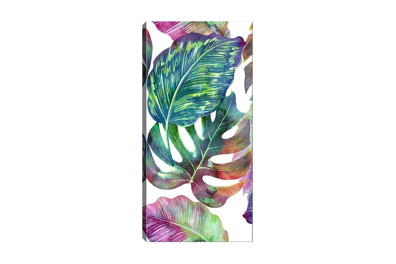 Canvasbilde DKY Floral & Botanical Flerfarget, 50x120 cm