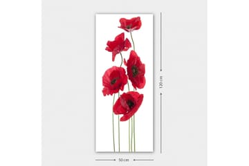 Canvasbilde DKY Floral & Botanical Flerfarget - 50x120 cm - Interiør - Maleri & posters - Lerretsbilder