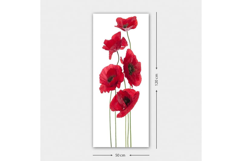 Canvasbilde DKY Floral & Botanical Flerfarget - 50x120 cm - Interiør - Maleri & posters - Lerretsbilder