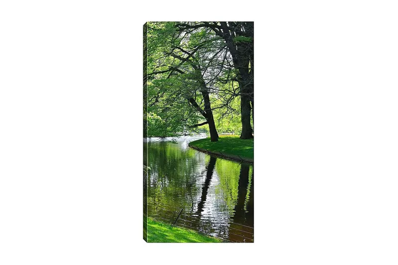 Canvasbilde DKY Floral & Botanical Flerfarget, 50x120 cm