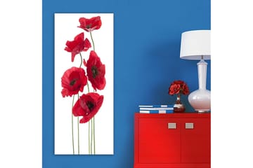 Canvasbilde DKY Floral & Botanical Flerfarget - 50x120 cm - Interiør - Maleri & posters - Lerretsbilder