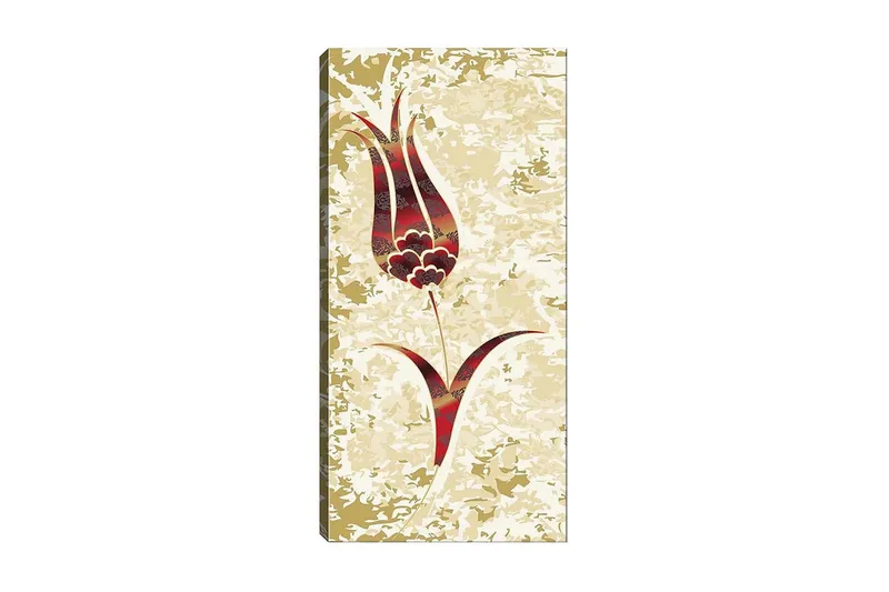 Canvasbilde DKY Floral & Botanical Flerfarget, 50x120 cm