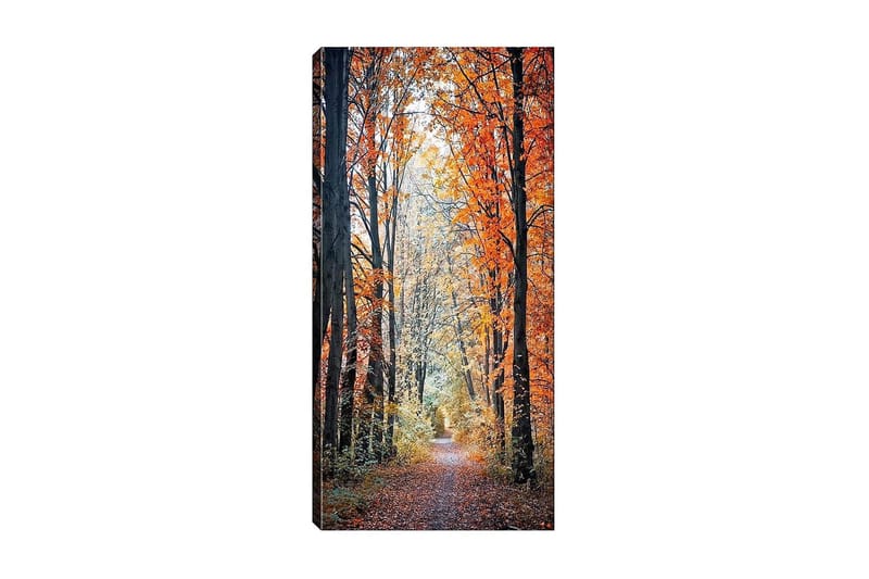 Canvasbilde DKY Floral & Botanical Flerfarget, 50x120 cm