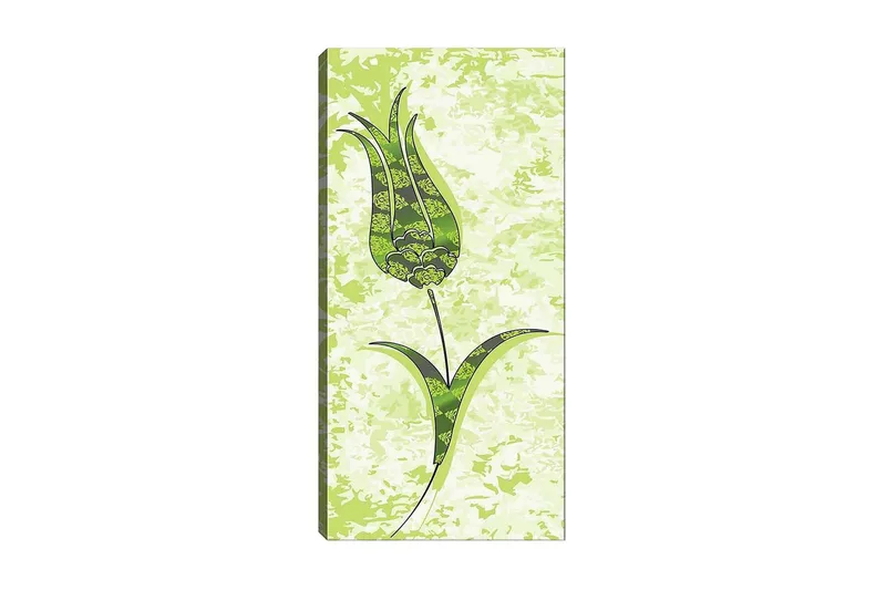 Canvasbilde DKY Floral & Botanical Flerfarget, 50x120 cm