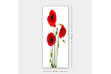Canvasbilde DKY Floral & Botanical Flerfarget - 50x120 cm - Interiør - Maleri & posters - Lerretsbilder