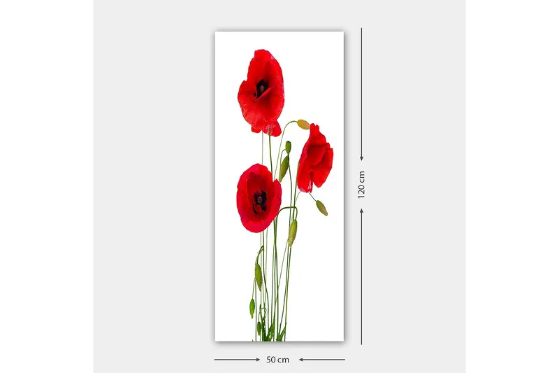 Canvasbilde DKY Floral & Botanical Flerfarget - 50x120 cm - Interiør - Maleri & posters - Lerretsbilder
