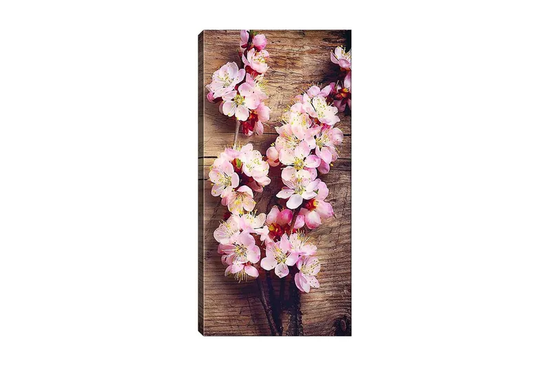 Canvasbilde DKY Floral & Botanical Flerfarget, 50x120 cm