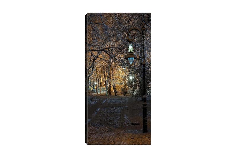 Canvasbilde DKY Landscape & Nature Flerfarget - 50x120 cm - Interiør - Maleri & posters - Lerretsbilder