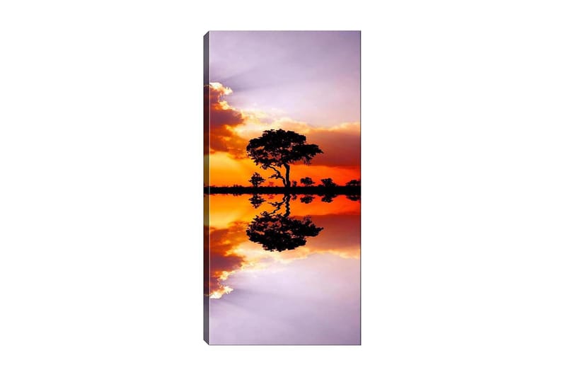 Canvasbilde DKY Landscape & Nature Flerfarget - 50x120 cm - Interiør - Maleri & posters - Lerretsbilder