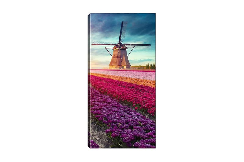 Canvasbilde DKY Landscape & Nature Flerfarget - 50x120 cm - Interiør - Maleri & posters - Lerretsbilder