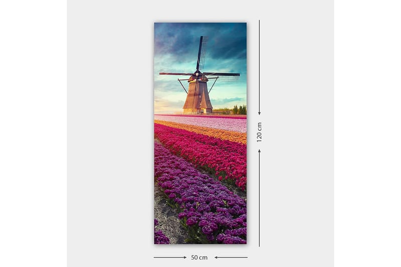 Canvasbilde DKY Landscape & Nature Flerfarget - 50x120 cm - Interiør - Maleri & posters - Lerretsbilder