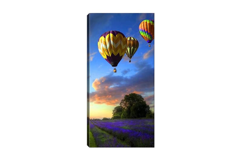 Canvasbilde DKY Landscape & Nature Flerfarget - 50x120 cm - Interiør - Maleri & posters - Lerretsbilder