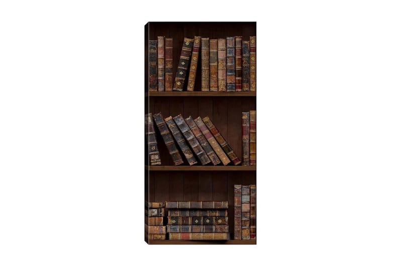 Canvasbilde DKY Reading and Literature Flerfarget - 50x120 cm - Interiør - Maleri & posters - Lerretsbilder