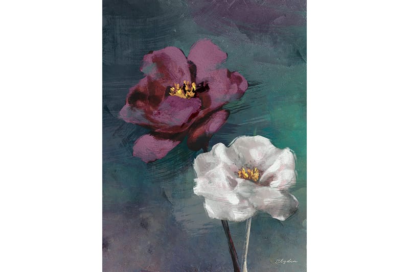 Canvasbilde Fiolett Rose, 66x08 cm