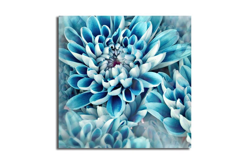 Canvasbilde Flerfarget - 44x54 cm - Interiør - Maleri & posters - Lerretsbilder