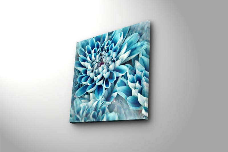 Canvasbilde Flerfarget - 44x54 cm - Interiør - Maleri & posters - Lerretsbilder
