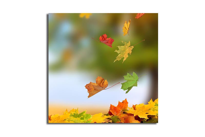 Canvasbilde Flerfarget - 44x54 cm - Interiør - Maleri & posters - Lerretsbilder