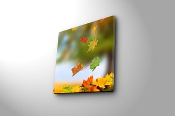 Canvasbilde Flerfarget - 44x54 cm - Interiør - Maleri & posters - Lerretsbilder