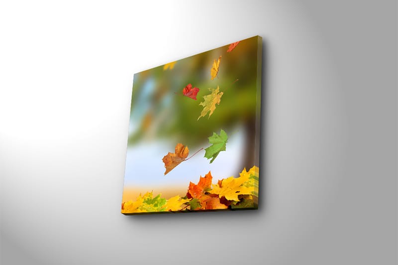 Canvasbilde Flerfarget - 44x54 cm - Interiør - Maleri & posters - Lerretsbilder