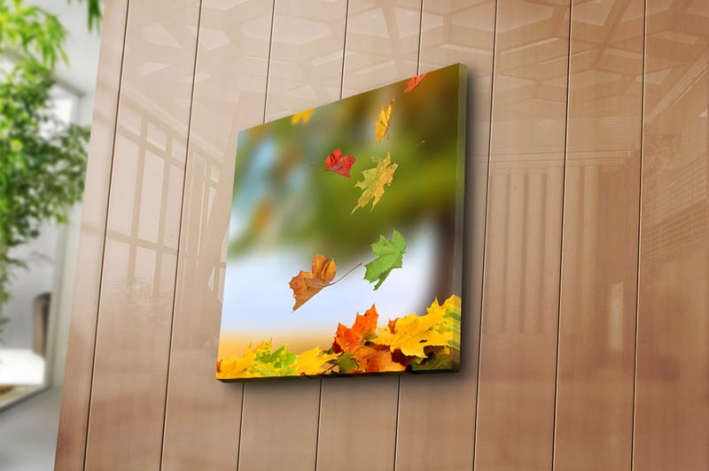 Canvasbilde Flerfarget - 44x54 cm - Interiør - Maleri & posters - Lerretsbilder