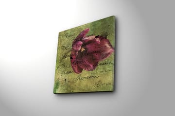 Canvasbilde Flerfarget - 44x54 cm - Interiør - Maleri & posters - Lerretsbilder