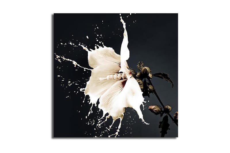 Canvasbilde Flerfarget - 44x54 cm - Interiør - Maleri & posters - Lerretsbilder