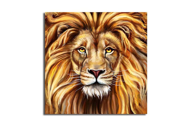 Canvasbilde Flerfarget - 44x54 cm - Interiør - Maleri & posters - Lerretsbilder