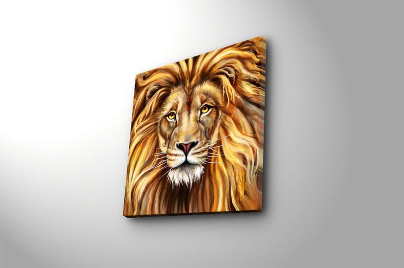 Canvasbilde Flerfarget - 44x54 cm - Interiør - Maleri & posters - Lerretsbilder