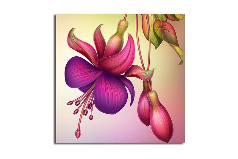 Canvasbilde Flerfarget - 44x54 cm - Interiør - Maleri & posters - Lerretsbilder