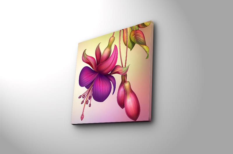 Canvasbilde Flerfarget - 44x54 cm - Interiør - Maleri & posters - Lerretsbilder