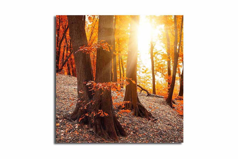 Canvasbilde Flerfarget - 44x54 cm - Interiør - Maleri & posters - Lerretsbilder