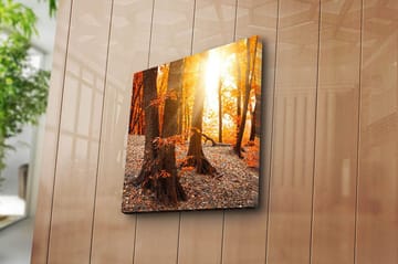 Canvasbilde Flerfarget - 44x54 cm - Interiør - Maleri & posters - Lerretsbilder