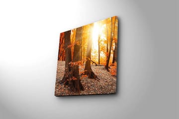 Canvasbilde Flerfarget - 44x54 cm - Interiør - Maleri & posters - Lerretsbilder