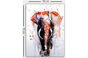 Canvasbilde Flerfarget - 50x70 cm - Interiør - Maleri & posters - Lerretsbilder