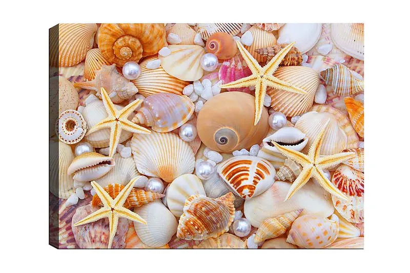 Canvasbilde Flerfarget, 55x07 cm