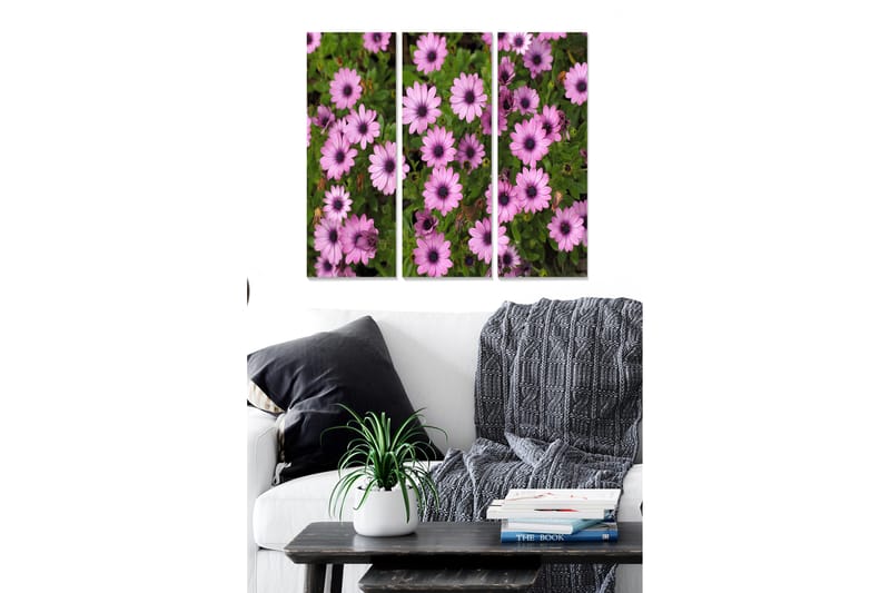 Canvasbilde Floral 3-pk flerfarget - 22x05 cm - Interiør - Maleri & posters - Lerretsbilder