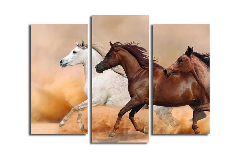Canvasbilde Floral 3-pk flerfarget - 22x03 cm - Interiør - Maleri & posters - Lerretsbilder
