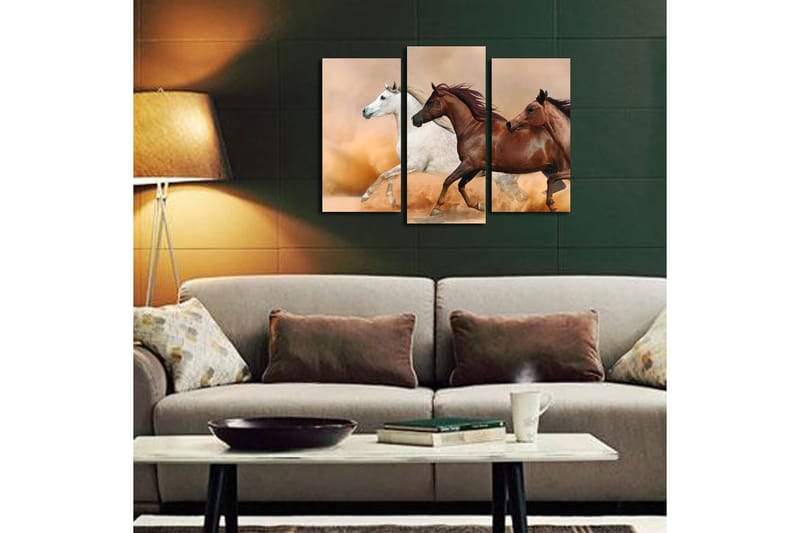 Canvasbilde Floral 3-pk flerfarget - 22x03 cm - Interiør - Maleri & posters - Lerretsbilder