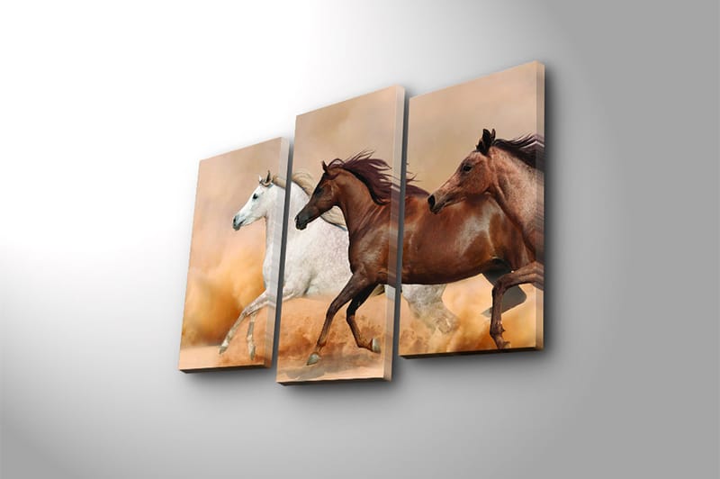 Canvasbilde Floral 3-pk flerfarget - 22x03 cm - Interiør - Maleri & posters - Lerretsbilder