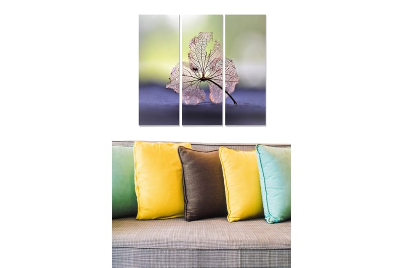 Canvasbilde Floral 3-pk flerfarget - 22x05 cm - Interiør - Maleri & posters - Lerretsbilder