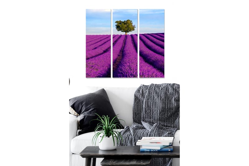 Canvasbilde Floral 3-pk flerfarget - 22x05 cm - Interiør - Maleri & posters - Lerretsbilder