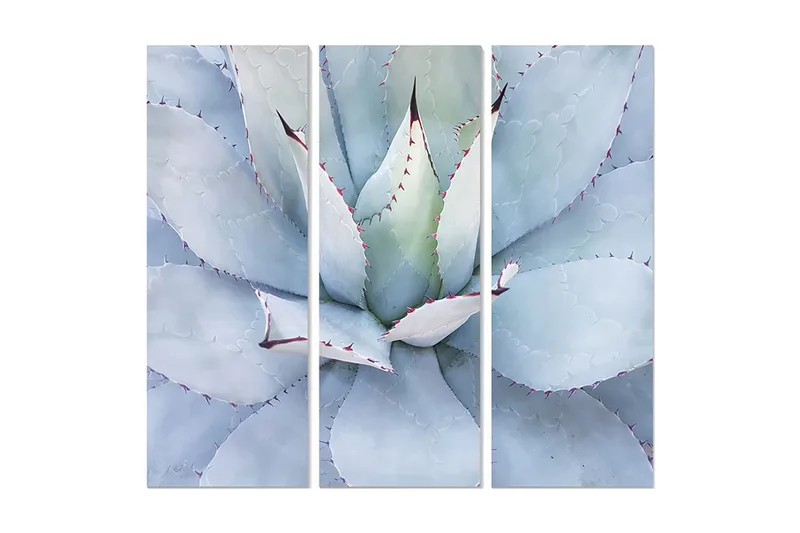 Canvasbilde Floral 3-pk flerfarget, 22x05 cm