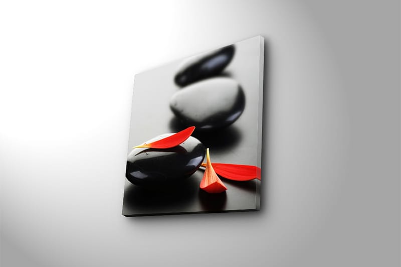 Canvasbilde Floral Flerfarget - 44x54 cm - Interiør - Maleri & posters - Lerretsbilder