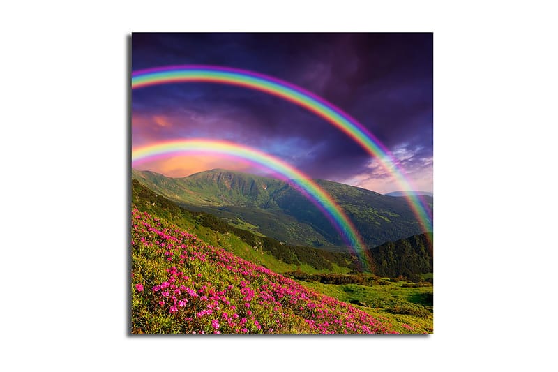 Canvasbilde Floral Flerfarget - 44x54 cm - Interiør - Maleri & posters - Lerretsbilder