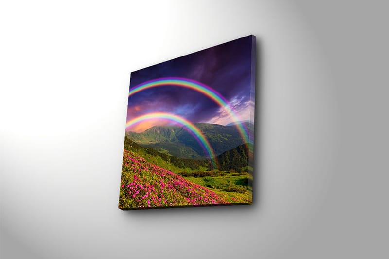 Canvasbilde Floral Flerfarget - 44x54 cm - Interiør - Maleri & posters - Lerretsbilder