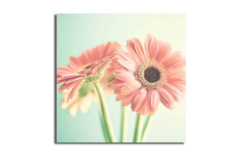 Canvasbilde Floral Flerfarget - 44x54 cm - Interiør - Maleri & posters - Lerretsbilder